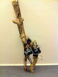 Social Cane Prototype